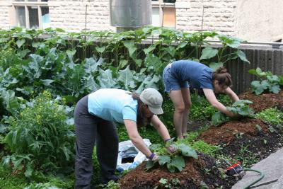 Agricultrices urbaines